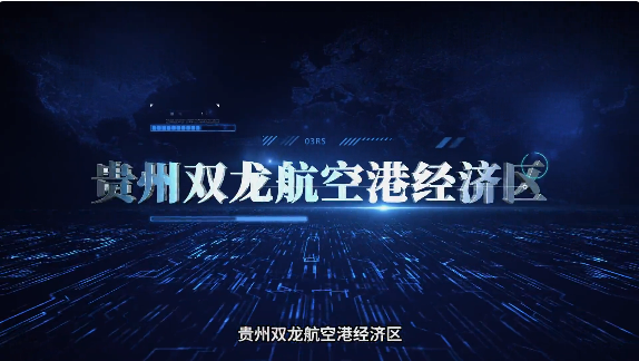 集團全力助推貴州雙龍航空港經(jīng)濟區(qū)委托招商引資，搶占發(fā)展先機，打造開放經(jīng)濟新高地